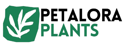 Petalora Plants